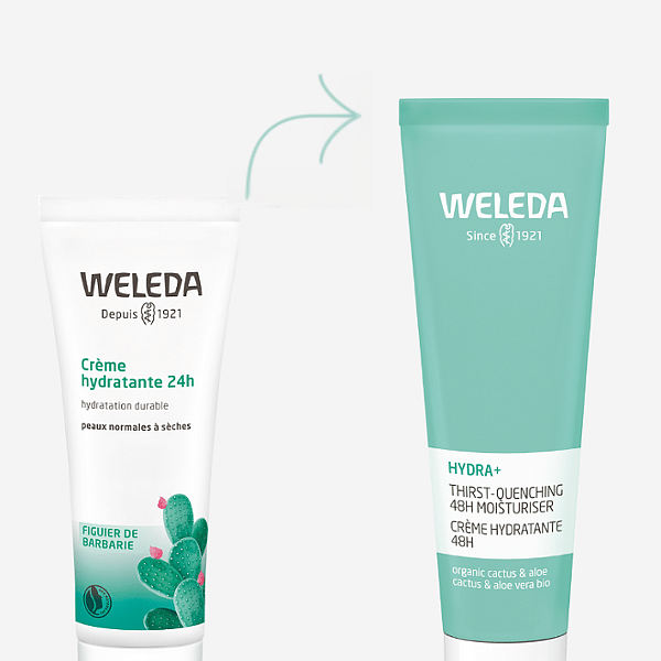 Crème hydratante 48h Hydra+ - Weleda 6