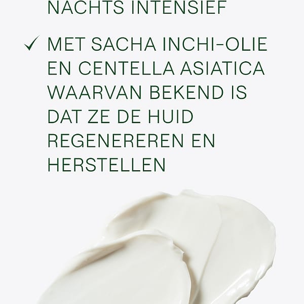 Skin Food Voedende Nachtcrème