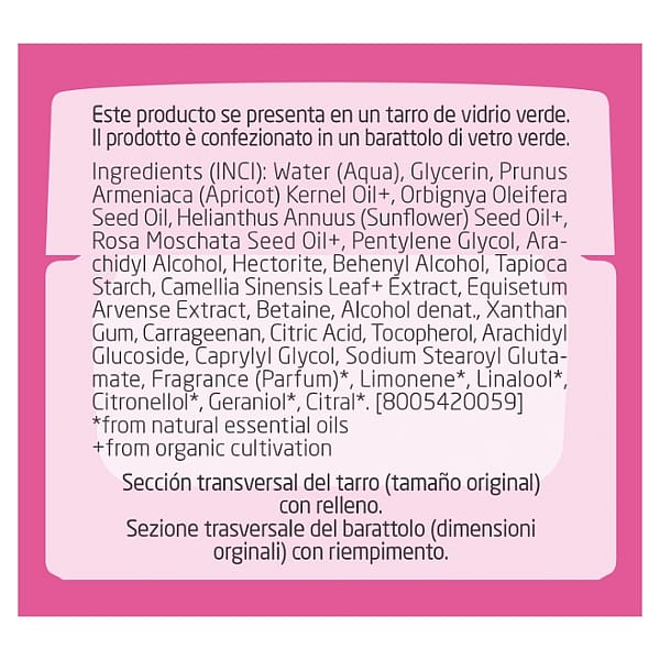 Crema de Día Alisante de Rosa Mosqueta y Té Blanco