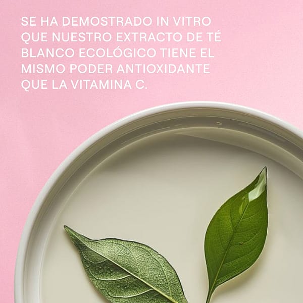 crema de noche con te blanco efecto vitamina c