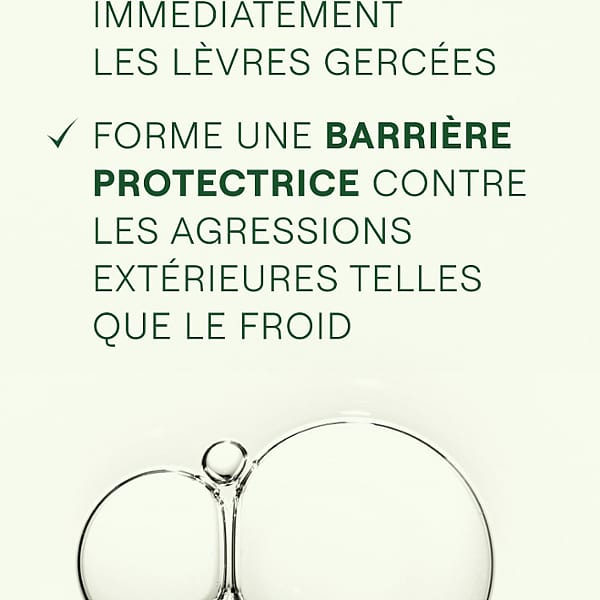 Skin Food Baume Lèvres