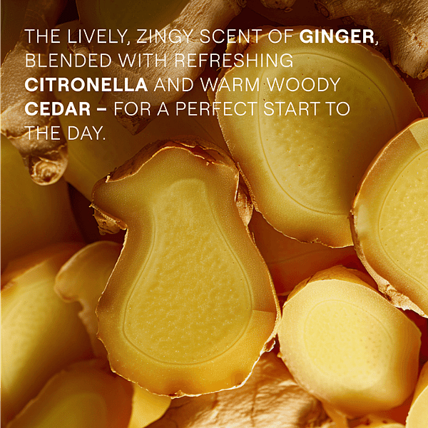 Ginger. The lively, zingy scent of ginger, blended with refreshing citronella and warm woody cedar - for a perfect start to the day.
