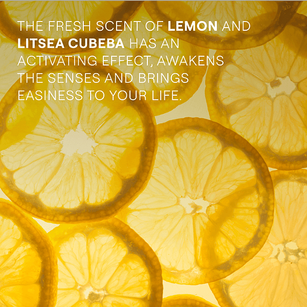 Lemon slices. The fresh scent of lemon and litsea cubeba has an activating effect, awakens the senses and brings easiness to your life.