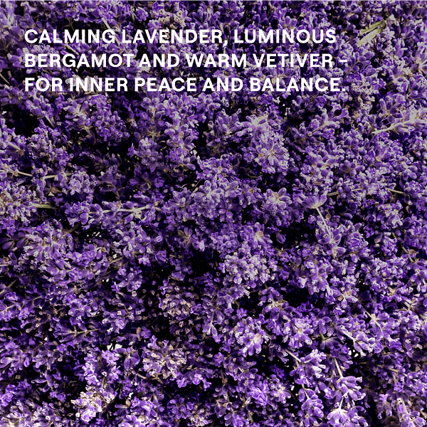 Lavender. Calming luminous bergamot and warm vetiver for inner peace and balance.