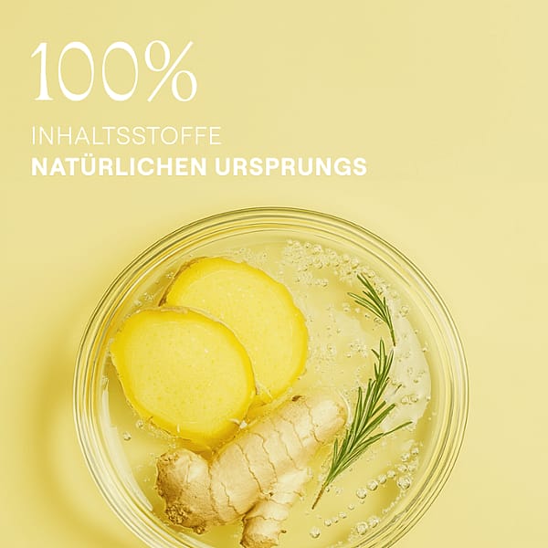 Ingwer, Ingwerscheiben, Rosmarin Zweig in einer Petrischale. 100% Inhaltsstoffe natürlichen Ursprungs.