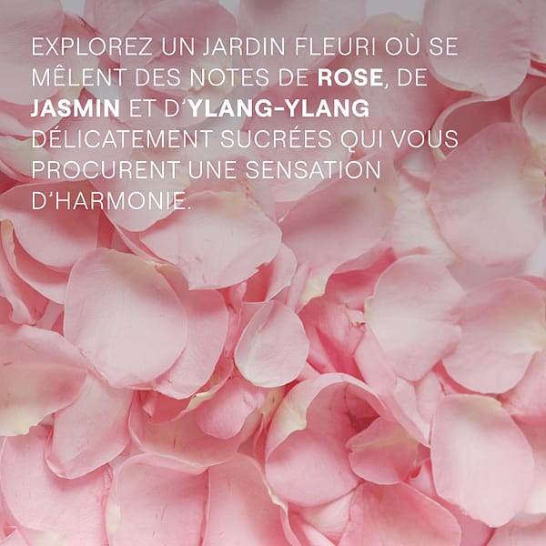 Pétales de roses. Explorez un jardin fleuri ou se mêlent des notes de rose, de jasmin et d'Ylang-Ylang délicatement sucrées qui vous procurent une sensation d'harmonie.