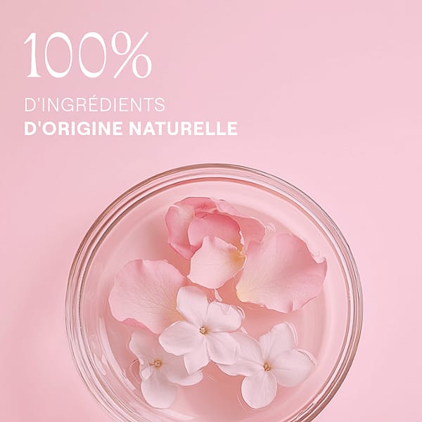 Pétales de roses dans un bol. 100% d'ingrédients d'origine naturelle.