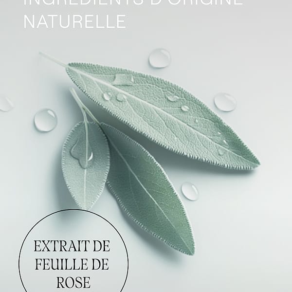 Lotion tonique hydratante