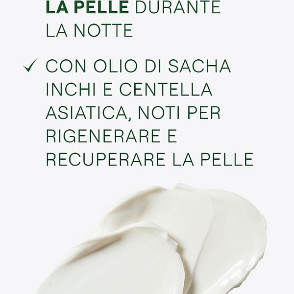 Skin Food Crema Notte Nutriente