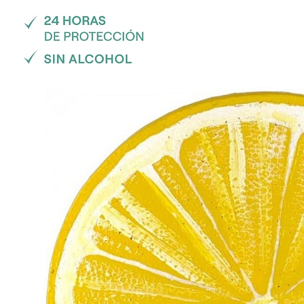 Desodorante Stick Citrus