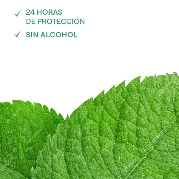 Desodorante Stick Eucaliptus