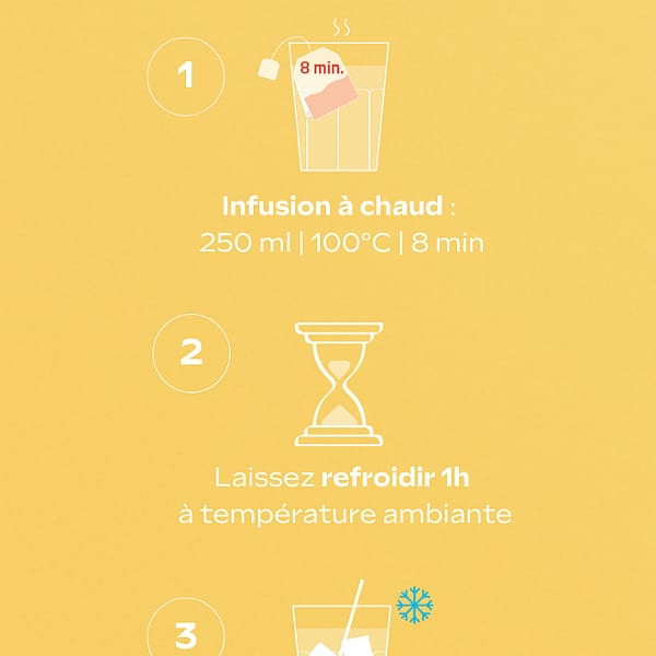 Tisane allaitement bio Citron Gingembre