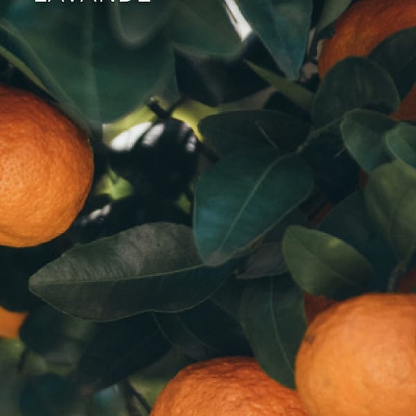 Le Gel Douche Mandarino di Capri - Édition limitée