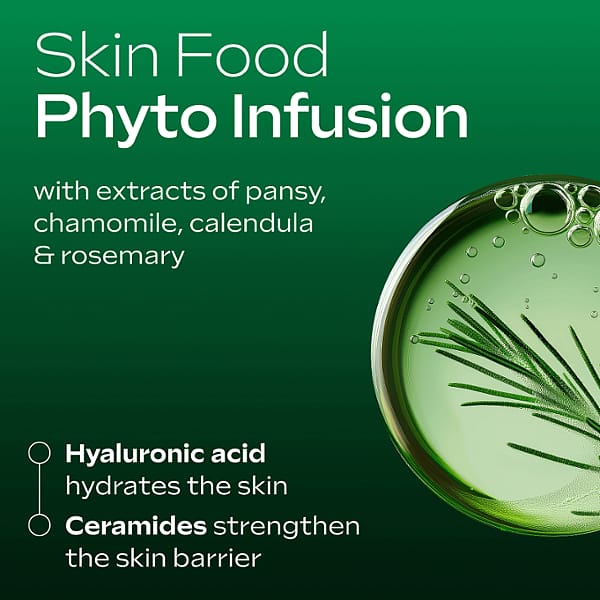 skin food lipstick phyto infusion