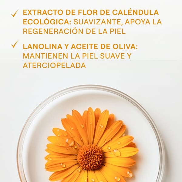 Bálsamo para los Pies