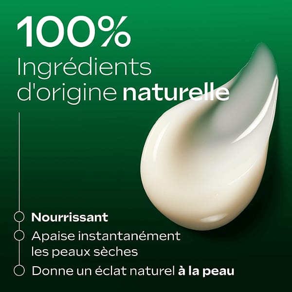 Skin Food Lait Corps