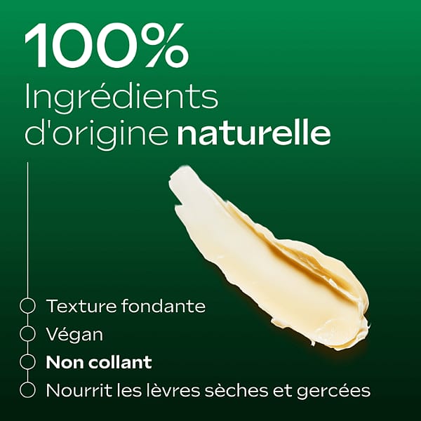 Skin Food Stick Lèvres