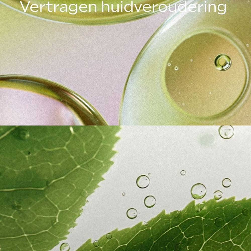 Slow Aging Boost Serum Drops