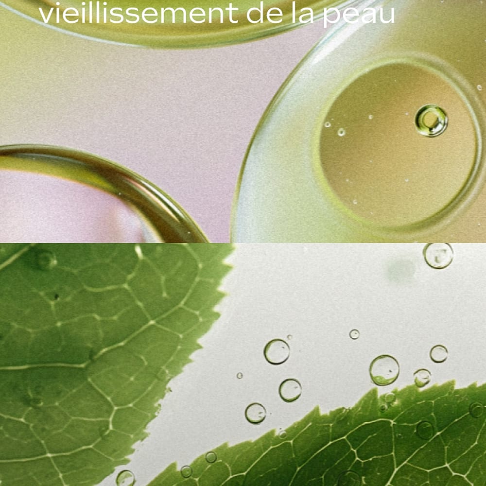 Slow Aging Boost Serum Drops