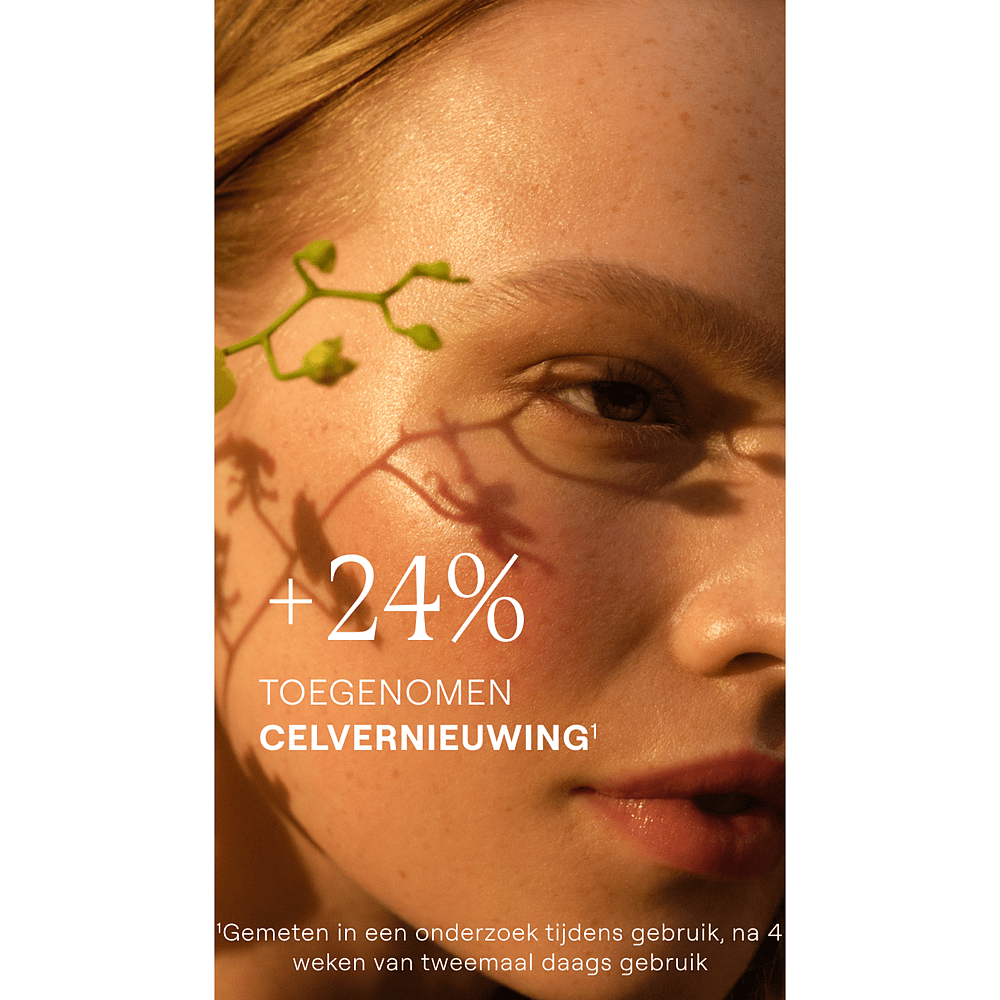 Skin Food Voedende Nachtcrème