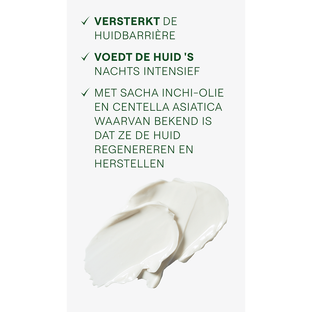 Skin Food Voedende Nachtcrème