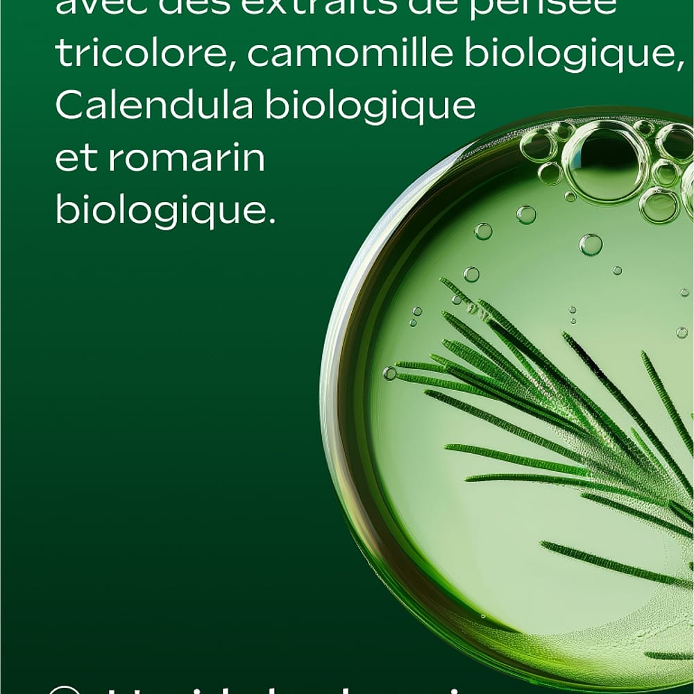 Crème Contour des Yeux Skin Food