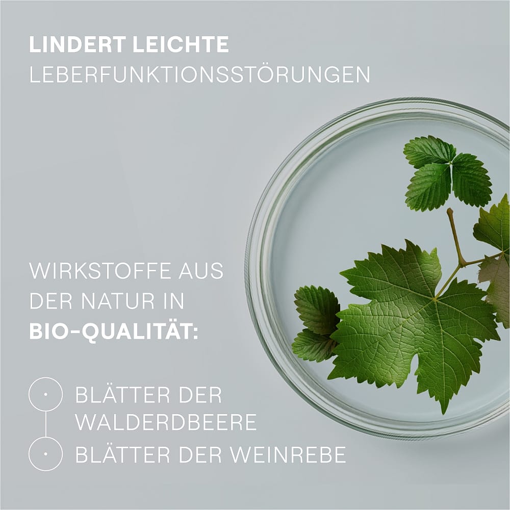 Hepatodoron® Tabletten