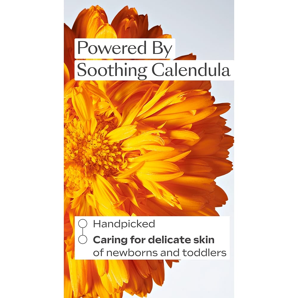 2in1 Gentle Shampoo + Body Wash - Calendula