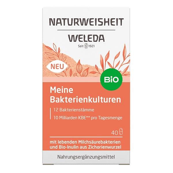 Meine Bakterienkulturen