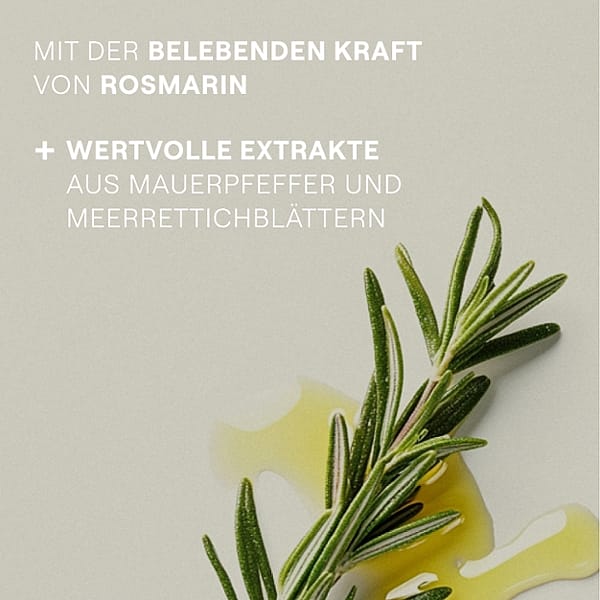 Rosmarinzweig und Rosmarinöl. Mit der belebenden Kraft von Rosmarin. Wertvolle Extrakte aus Mauerpfeffer und Meerrettichblätter.