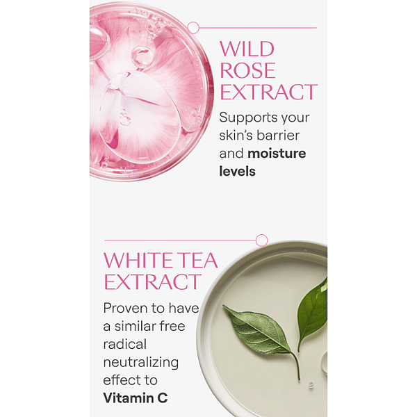 Smoothing Day Cream with Wild Rose & White Tea - Weleda