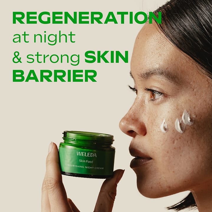 Skin Food Night Cream